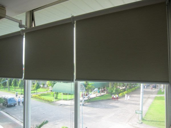Installed Roller Blinds in a Library