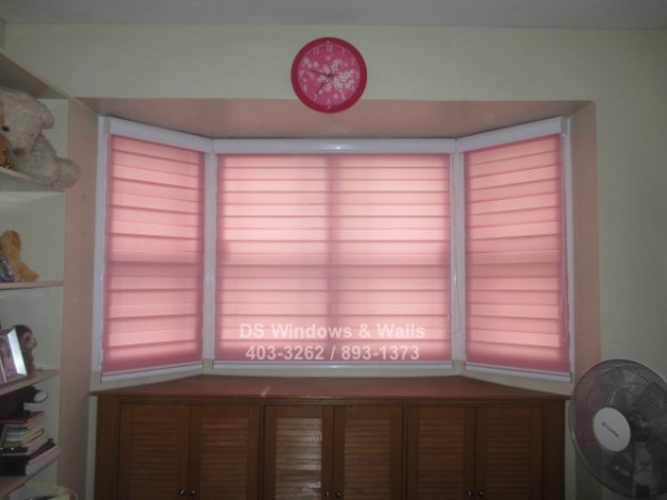 Pink blinds shades