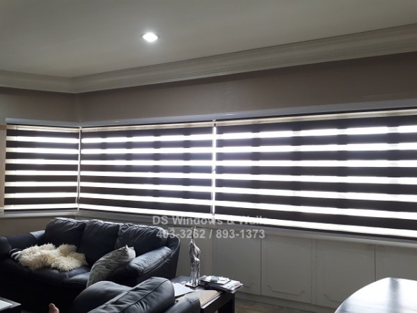 Combi blinds: function and purpose